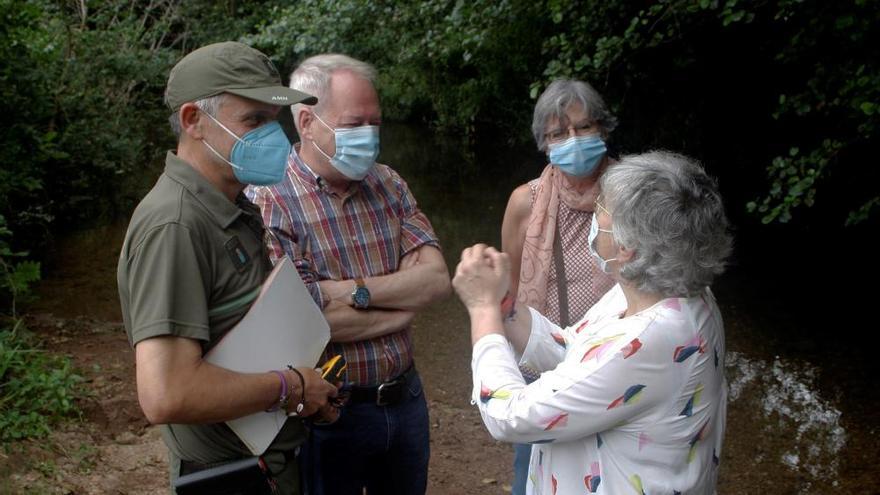 Suelta de alevines de trucha en el río Piles de Gijón