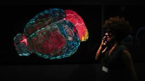 Una mujer visita una exposición sobre el cerebro. Enric Fontcuberta / EFE