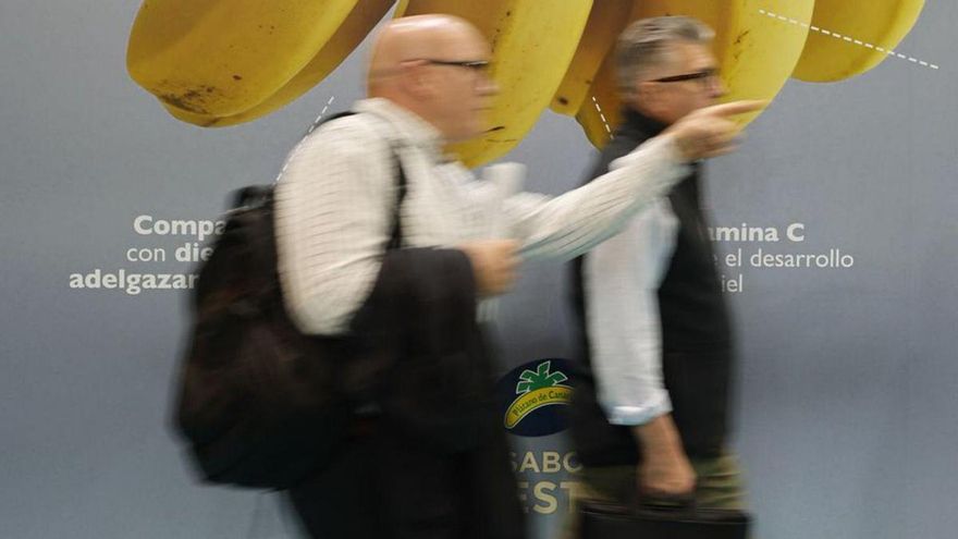 El Gobierno regional cambia las ayudas al plátano pese a la división del sector.