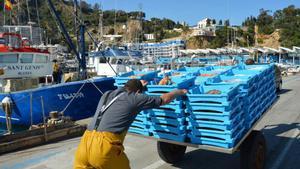 Un pescador de la Cofradía de Blanes (Girona) empuja un carro cargado de género.