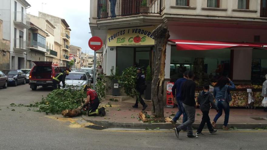 Temporal del viento en Mallorca