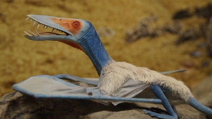 Hallados 215 fósiles de huevos de pterosaurio en China