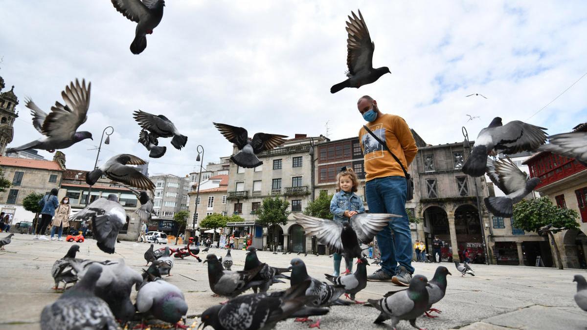 Un padre y su hija dan de comer a las palomas en Pontevedra. // G. Santos