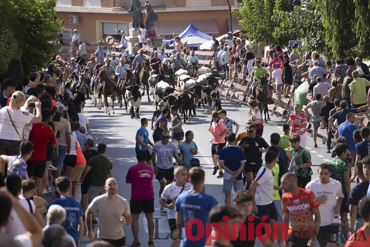 Sexto encierro de las Fiestas de Moratalla