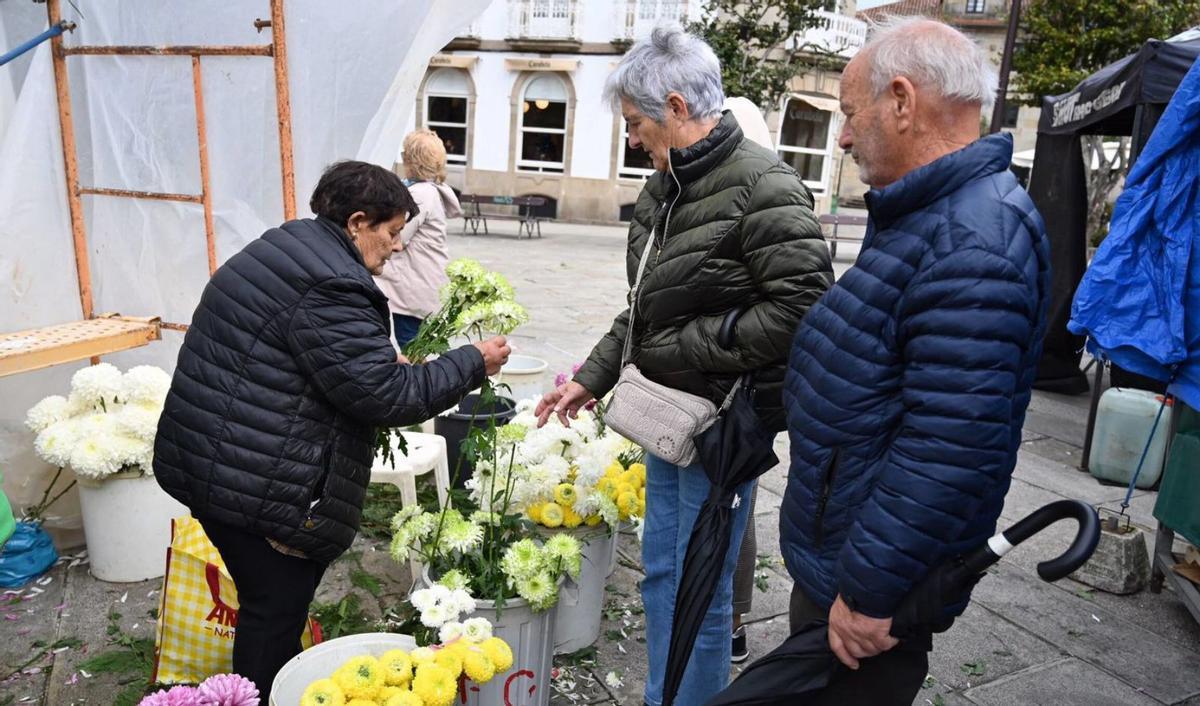 Claveles de todos los tonos, a la venta. |  Gustavo Santos