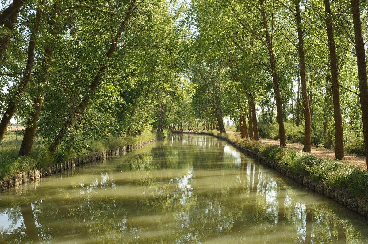 Así es el Canal de Castilla.