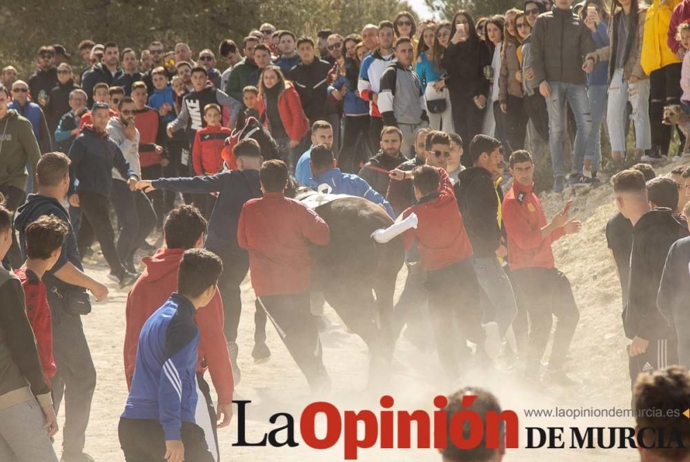 Carrera de entrenamiento de los Caballos del Vino