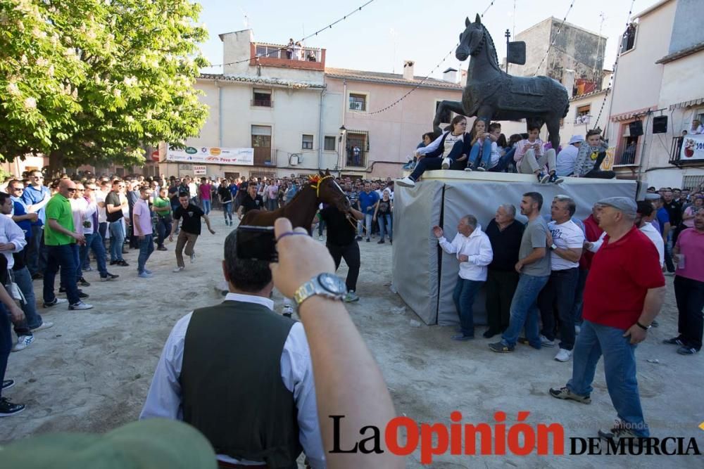 Caballo a pelo Caravaca (Desfile)