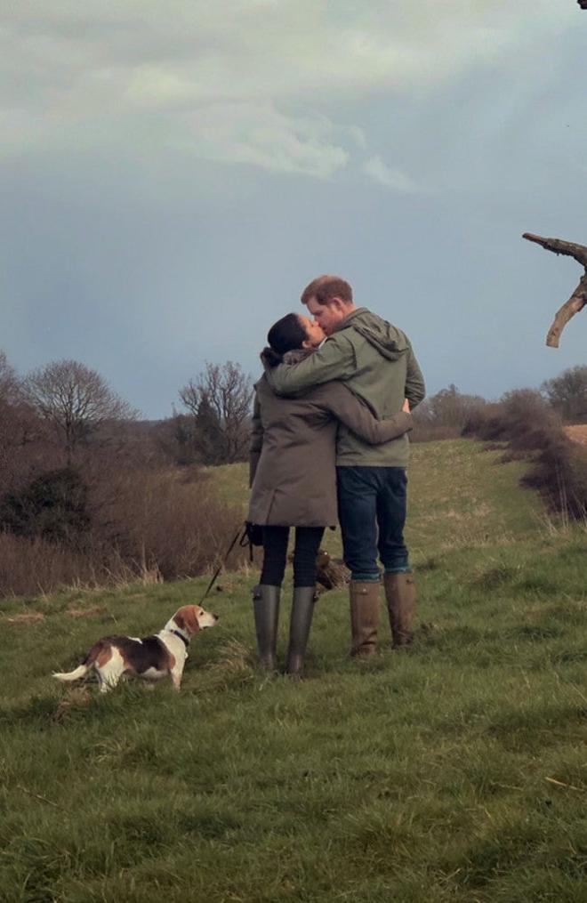 Las asombrosas acusaciones del final de 'Harry y Meghan' contra la familia real británica