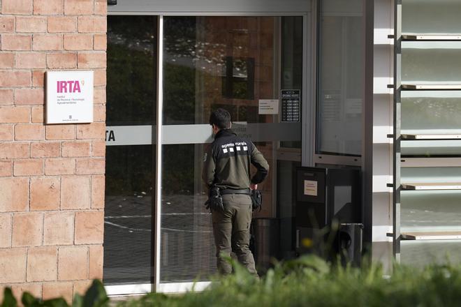 L’IRTA-CReSA, investigat pel brot de pesta porcina, no està obligat a tenir pla davant risc biològic