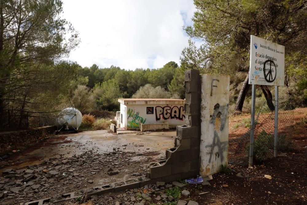 La fuente que alimentaba el canal de Fruitera y los huertos cercanos a Santa Gertrudis vuelve a estar a la vista