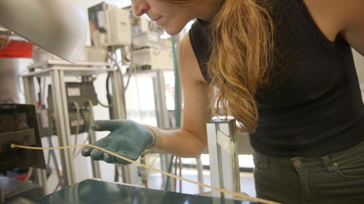 B’Zeos desarrolla en Barcelona envases biodegradables a partir de algas B’Zeos desarrolla en Barcelona envases biodegradables a partir de algas