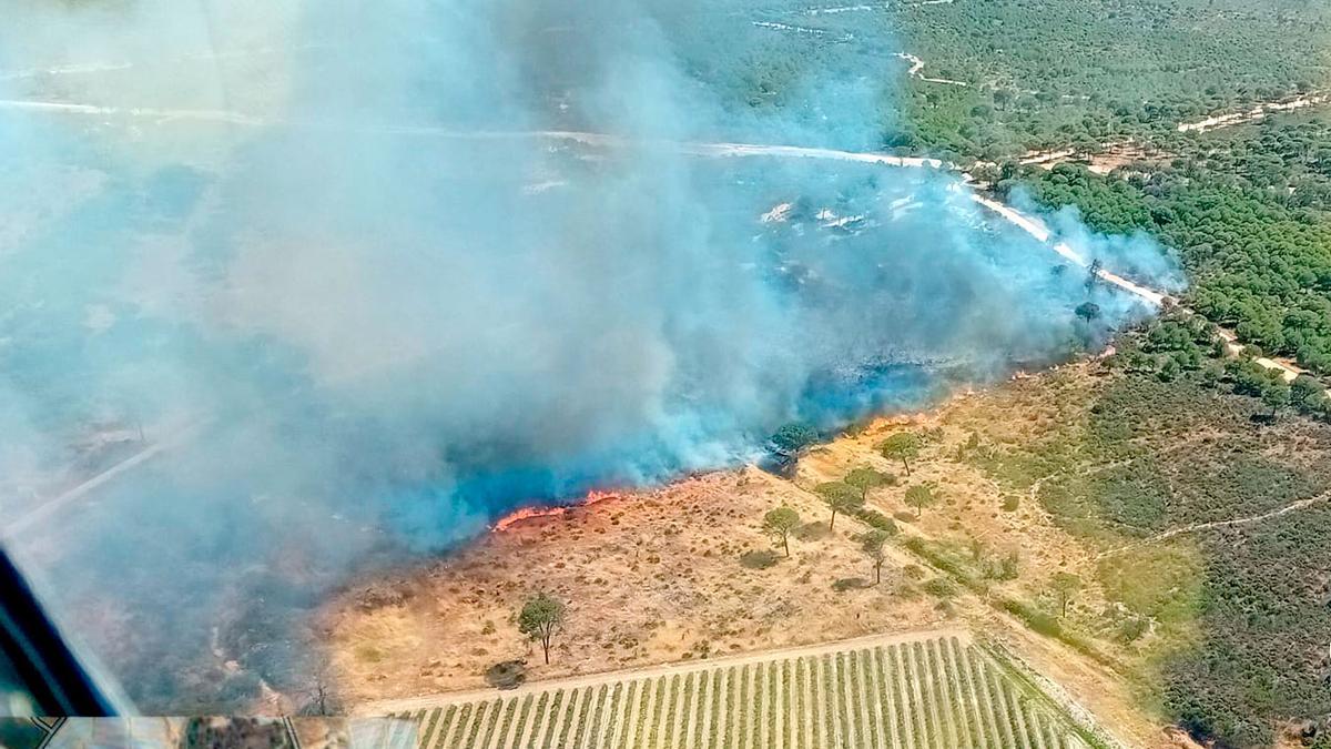 Imagen de la zona del fuego en Lucena del Puerto.