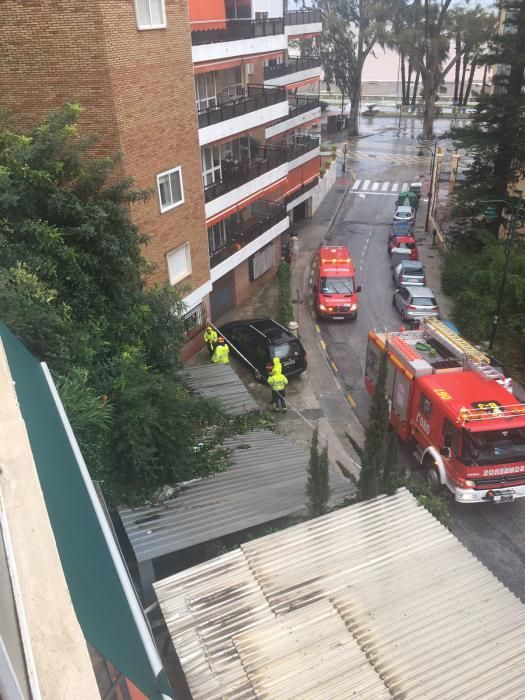 Calle Marcos de Obregón, en El Limonar.