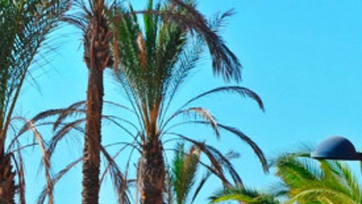 Turistas paseando por un paseo marítimo del sur de la isla de Tenerife.