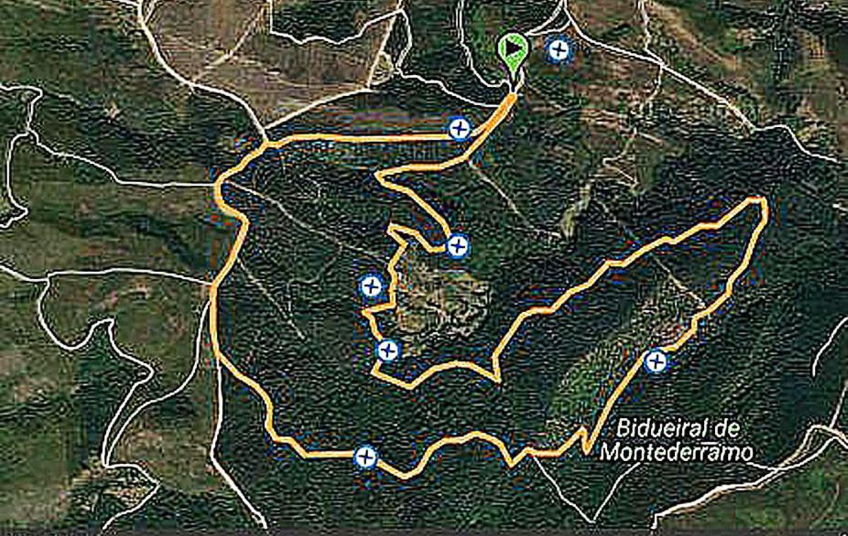 Mapa del bidueiral de Montederramo. | // FDV