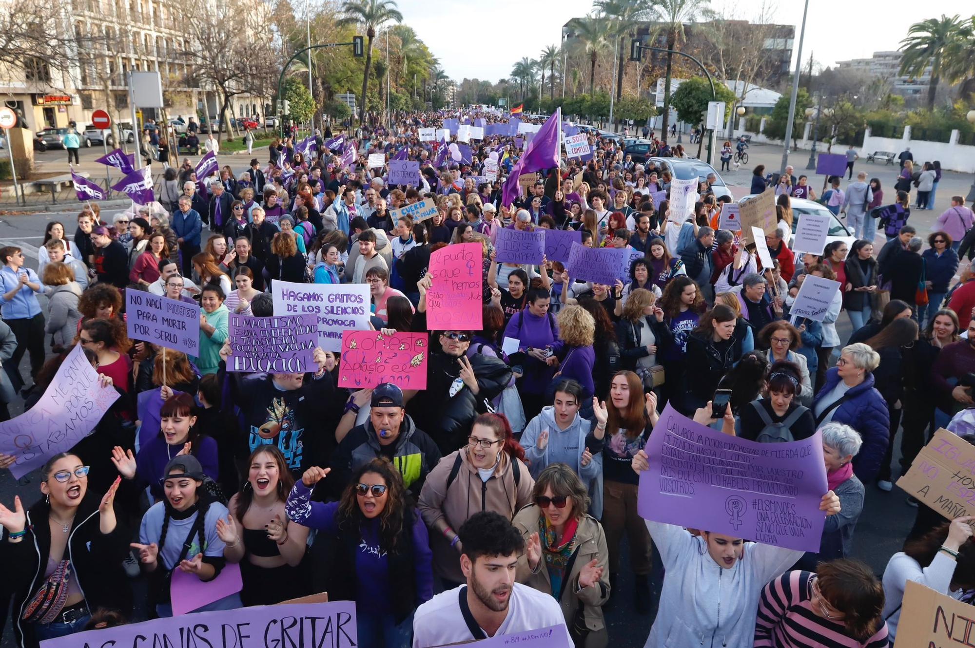 La manifestación del 8M recorre las calles de Córdoba