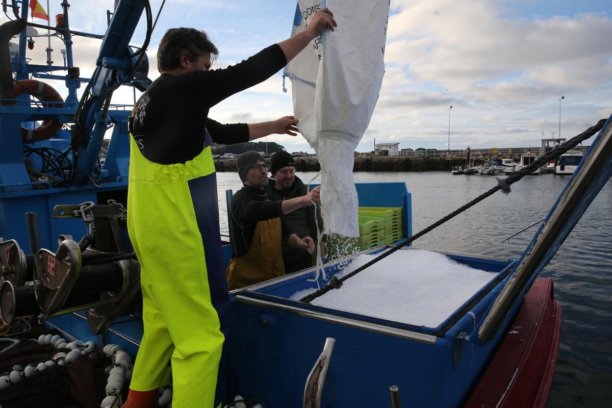 La tripulación de uno de los barcos del cerco de Bueu carga el hielo para conservar el pescado antes de salir a faenar esta semana.