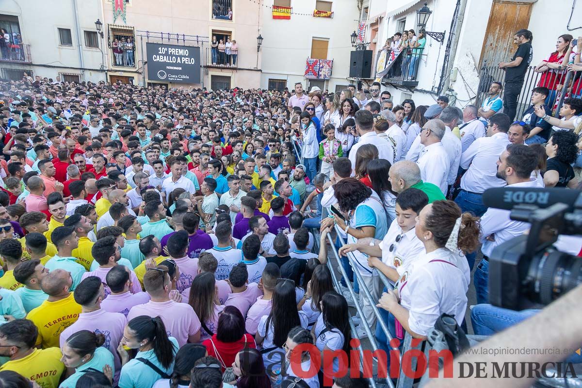 Entrega de premios del concurso morfológico de los Caballos del Vino de Caravaca