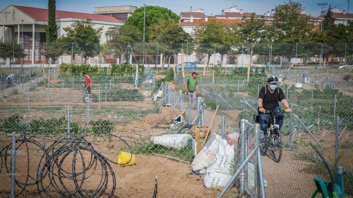 Usuarios en los huertos urbanos de Suerte de Saavedra, ayer.