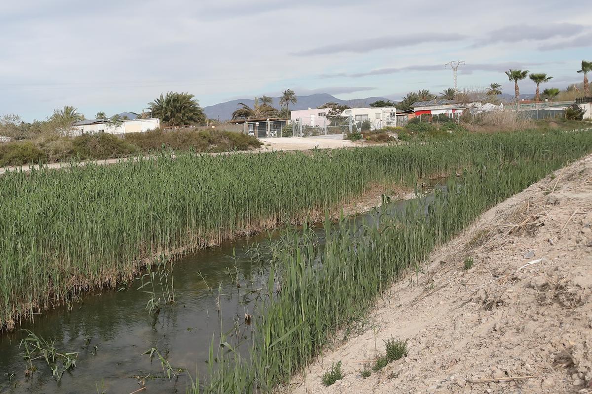 AHSA propone renaturalizar el Vinalopó y olvidarse de soluciones de hormigón