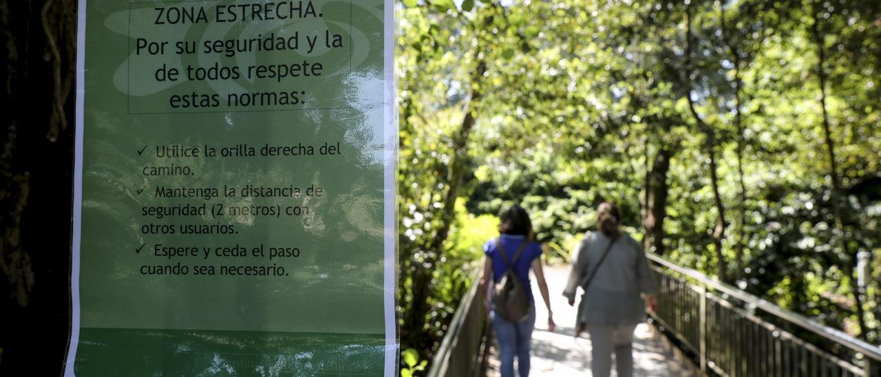 Visitantes en el Jardín Botánico.