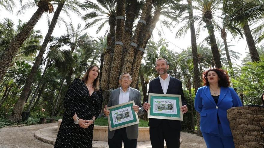 La Palmera Imperial de Elche ilustrará el cupón de la ONCE el próximo lunes