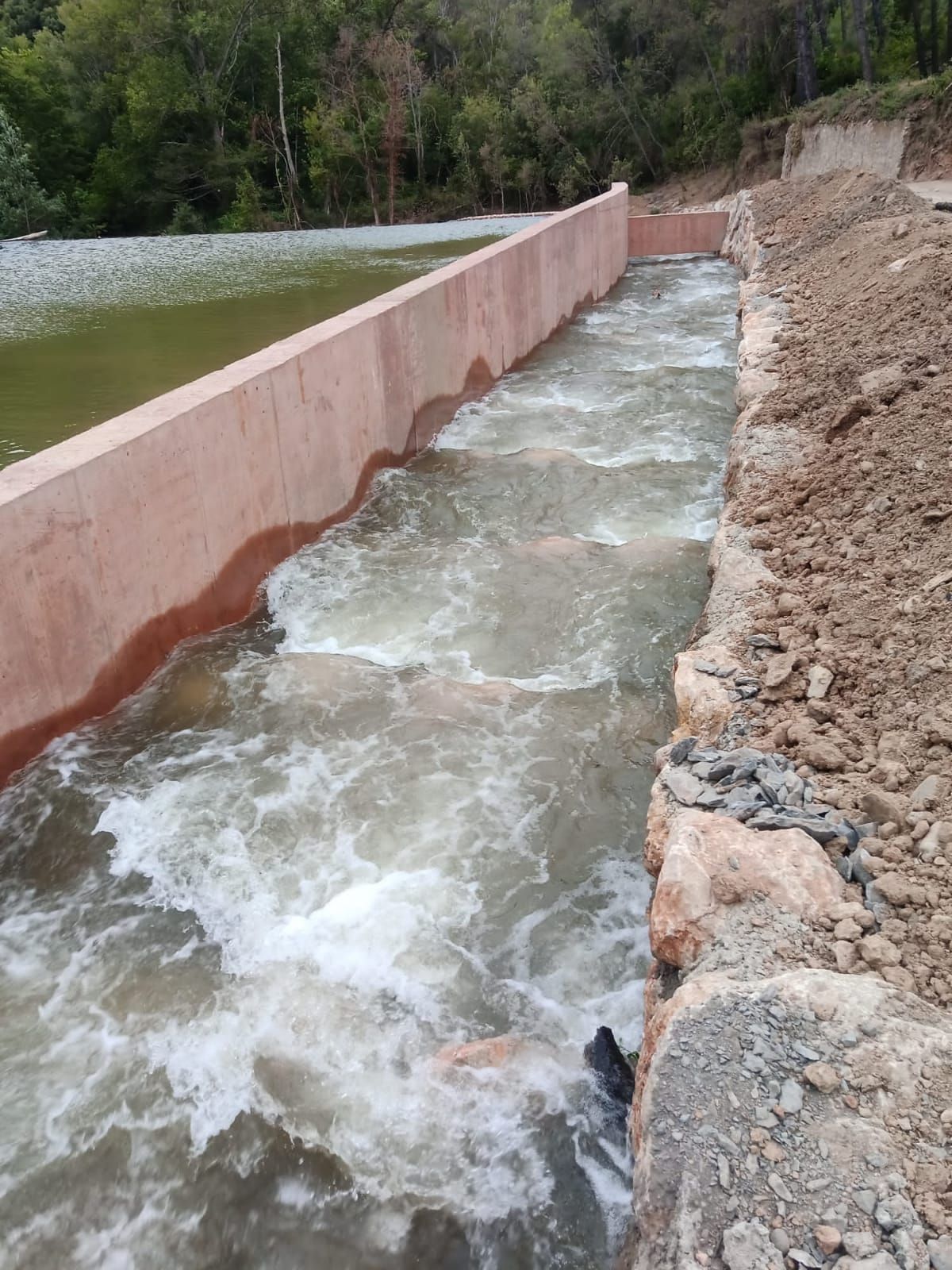 Un nou connector fluvial facilita el moviment dels peixos a Boadella i les Escaules