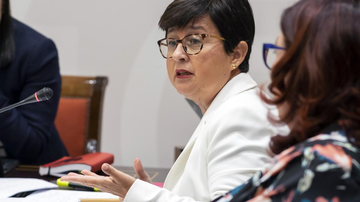 La viceconsejera de Educación, Universidades y Deportes, María Dolores Rodríguez, hoy durante la comisión parlamentaria.