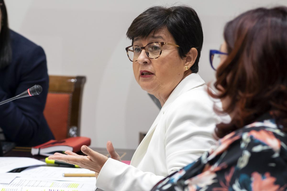 La viceconsejera de Educación, Universidades y Deportes, María Dolores Rodríguez, hoy durante la comisión parlamentaria.