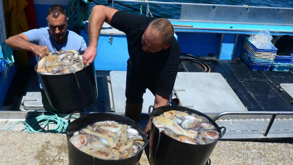 Marineros descargan los capachos de pulpo en el primer día de la campaña en Bueu.