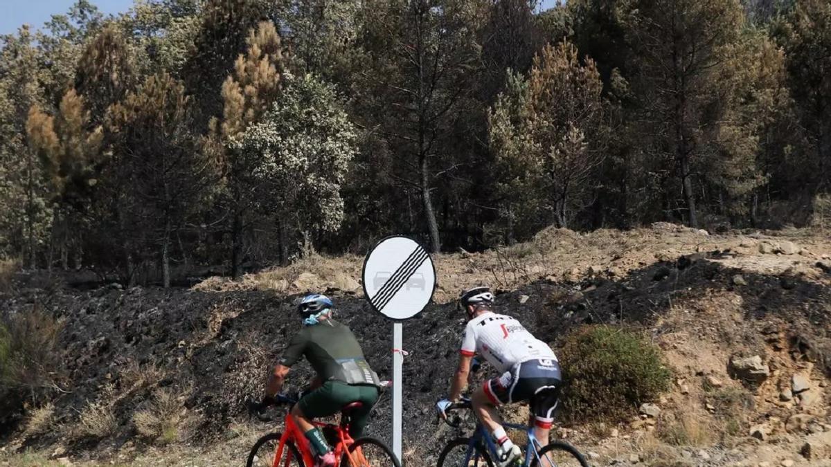 Ciclistas.