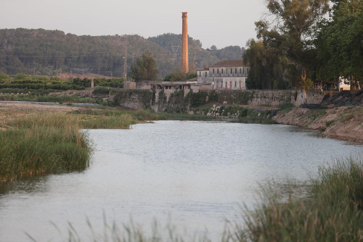 Paraje del río Albaida a su paso por Castelló donde existe una colonia de nutrias.