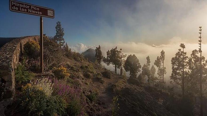 Buscan en el Pico de las Nieves a un turista inglés perdido