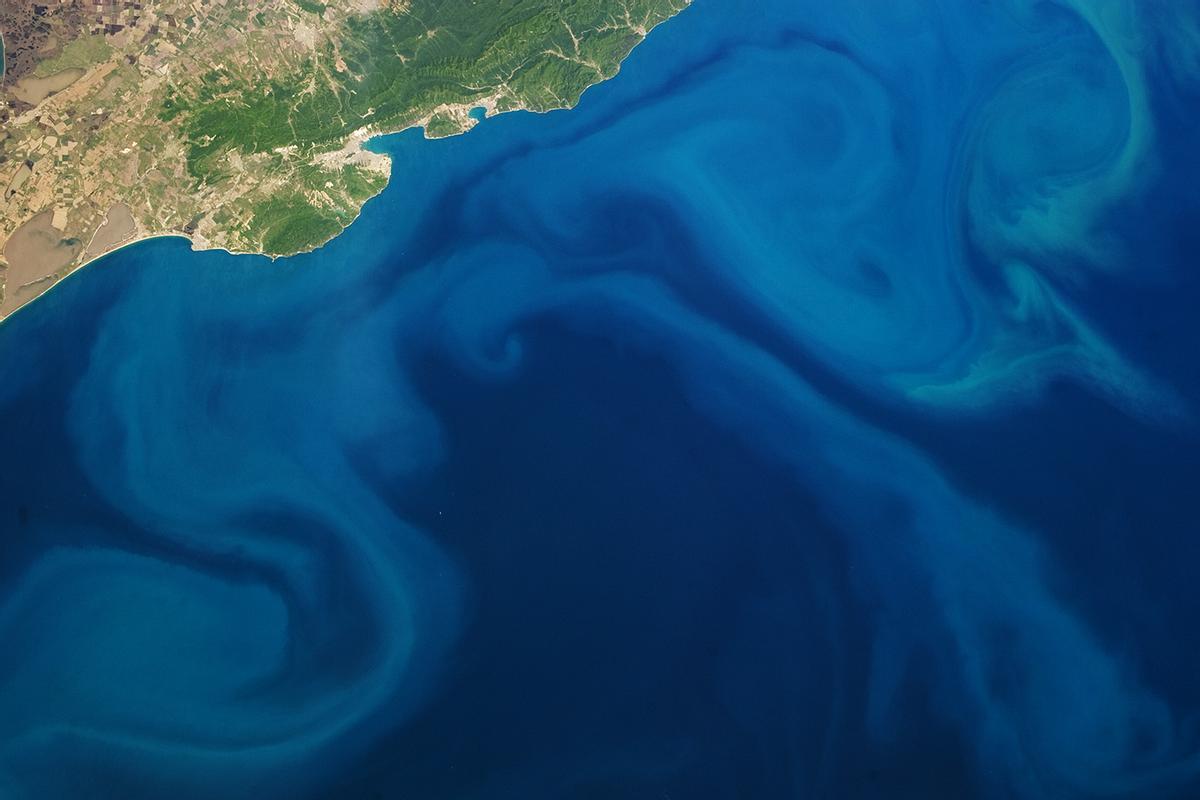Imagen por satélite de una floración de plancton en el mar