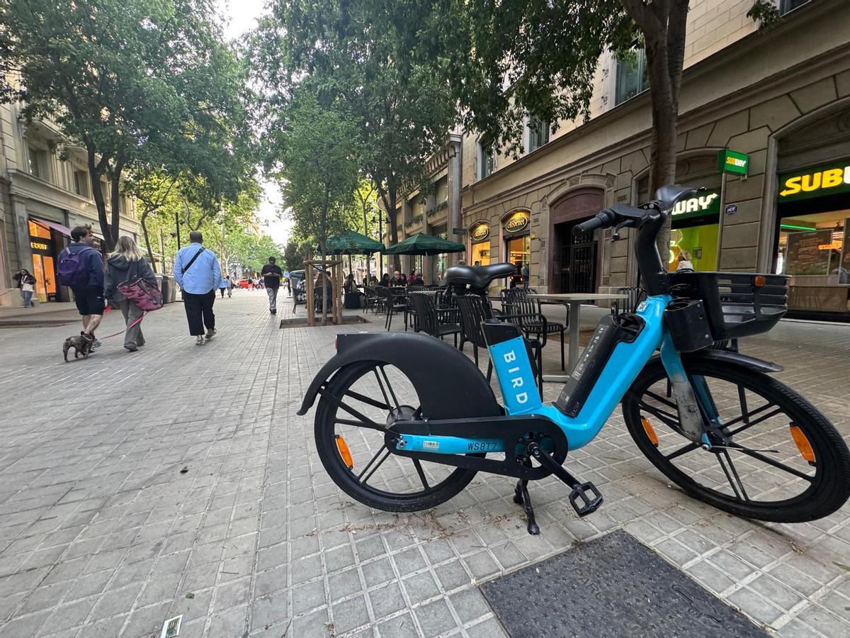 Bicicleta que durante más de un mes estivo estacionada en Consell de Cent Bicicleta que durante más de un mes estivo estacionada en Consell de Cent