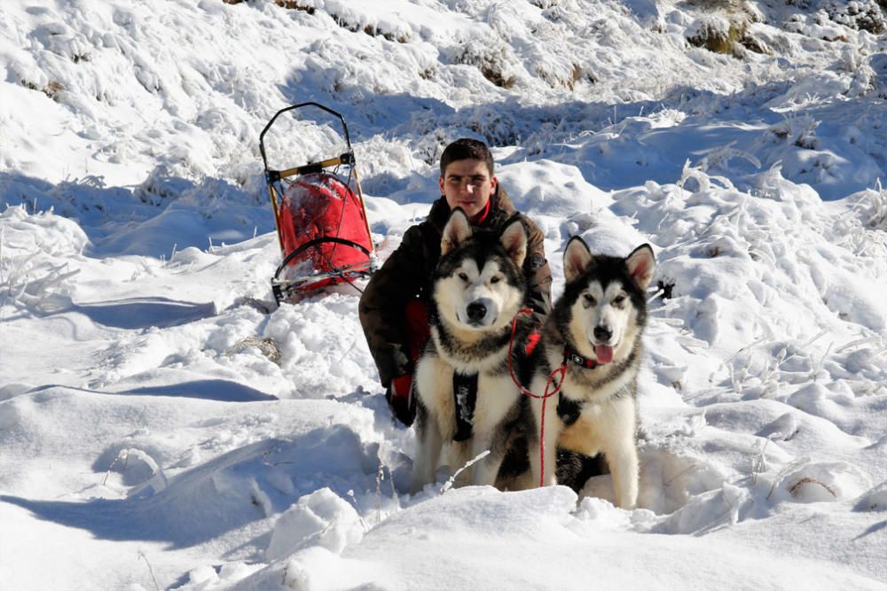 Manuel Calvo se prepara para participar en  el Campeonato de España de carreras de trineo con perros