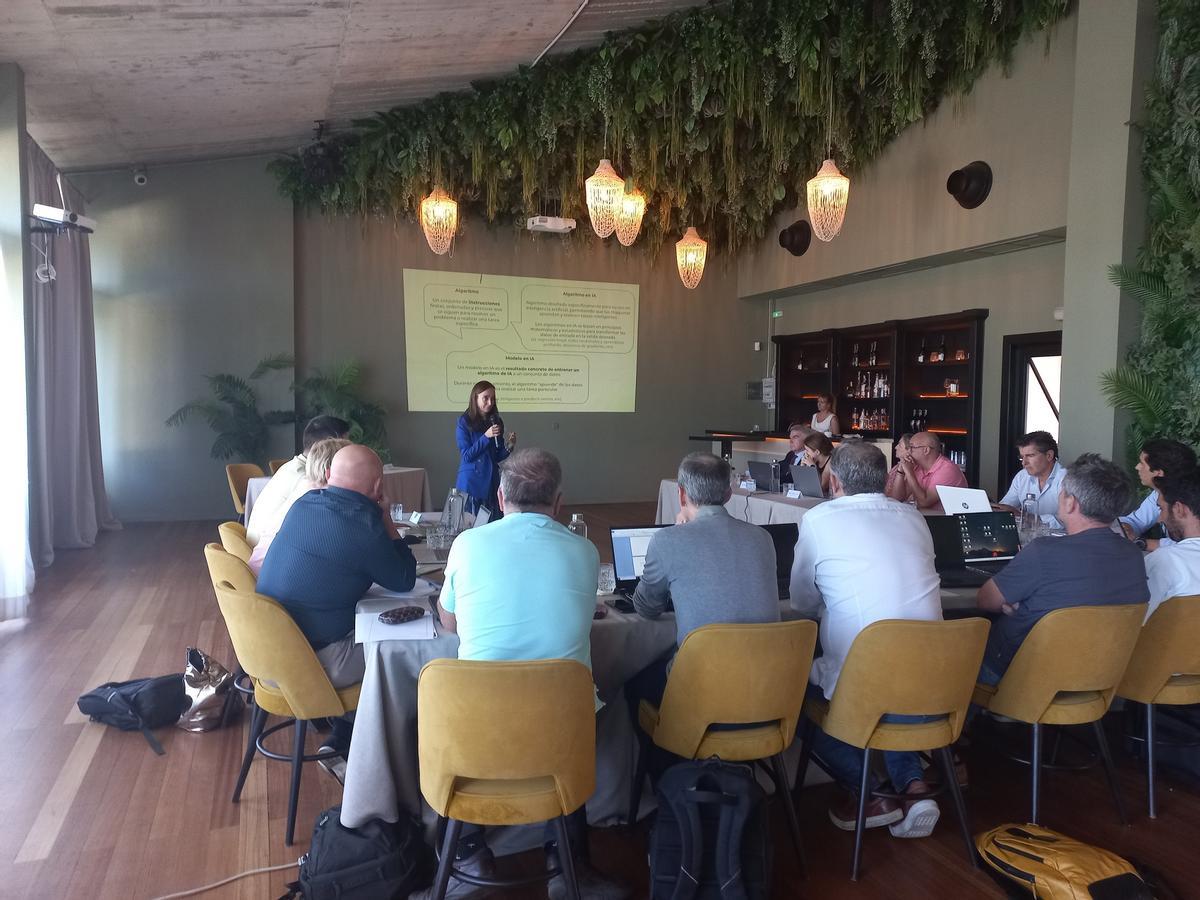 Celia Sánchez, consultora, durante la formación impartida ayer en Alicante.