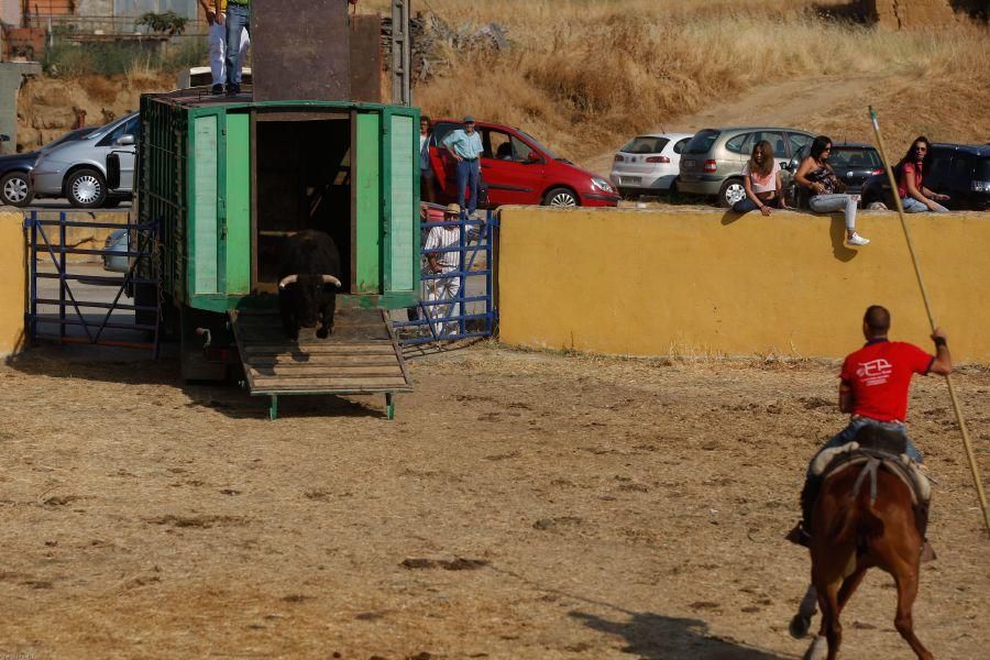 Fiestas en Zamora: Encierro en Venialbo