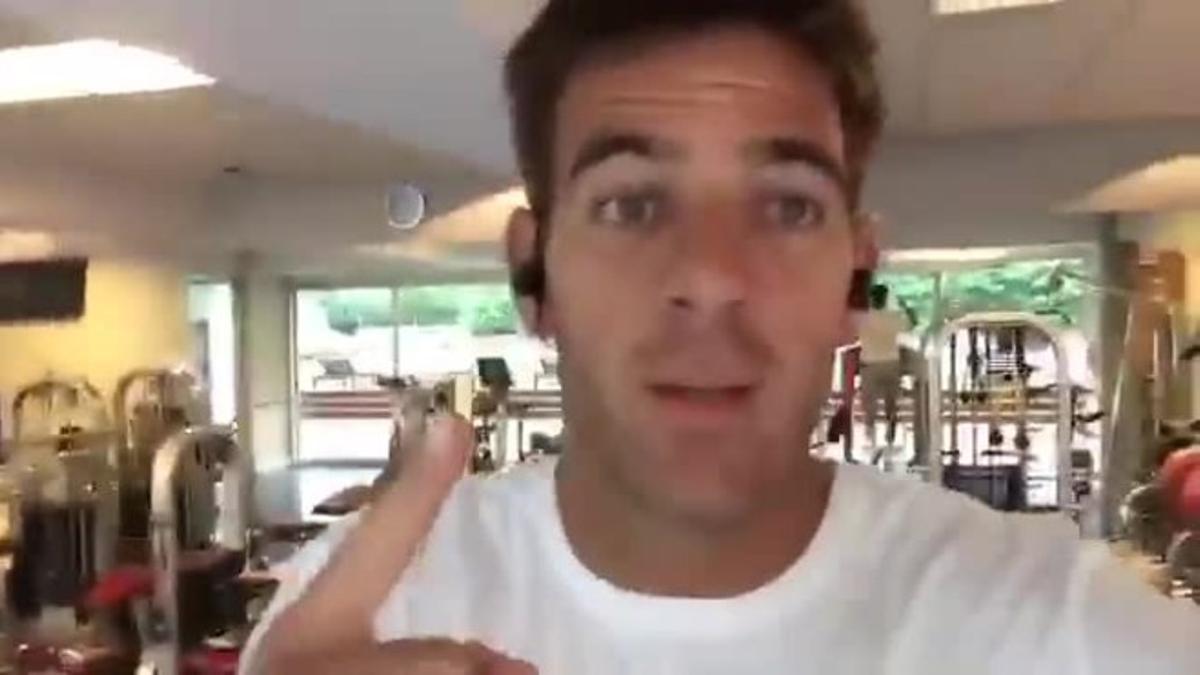 Marcelo Del Potro