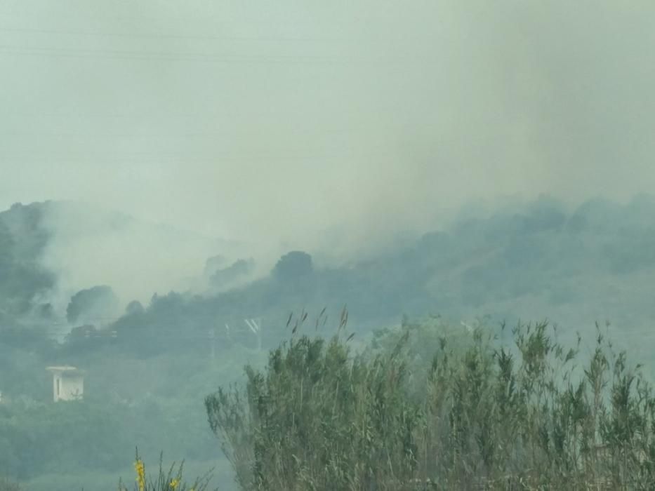 Un incendi forestal crema a tocar de l'estació de tren de Llançà