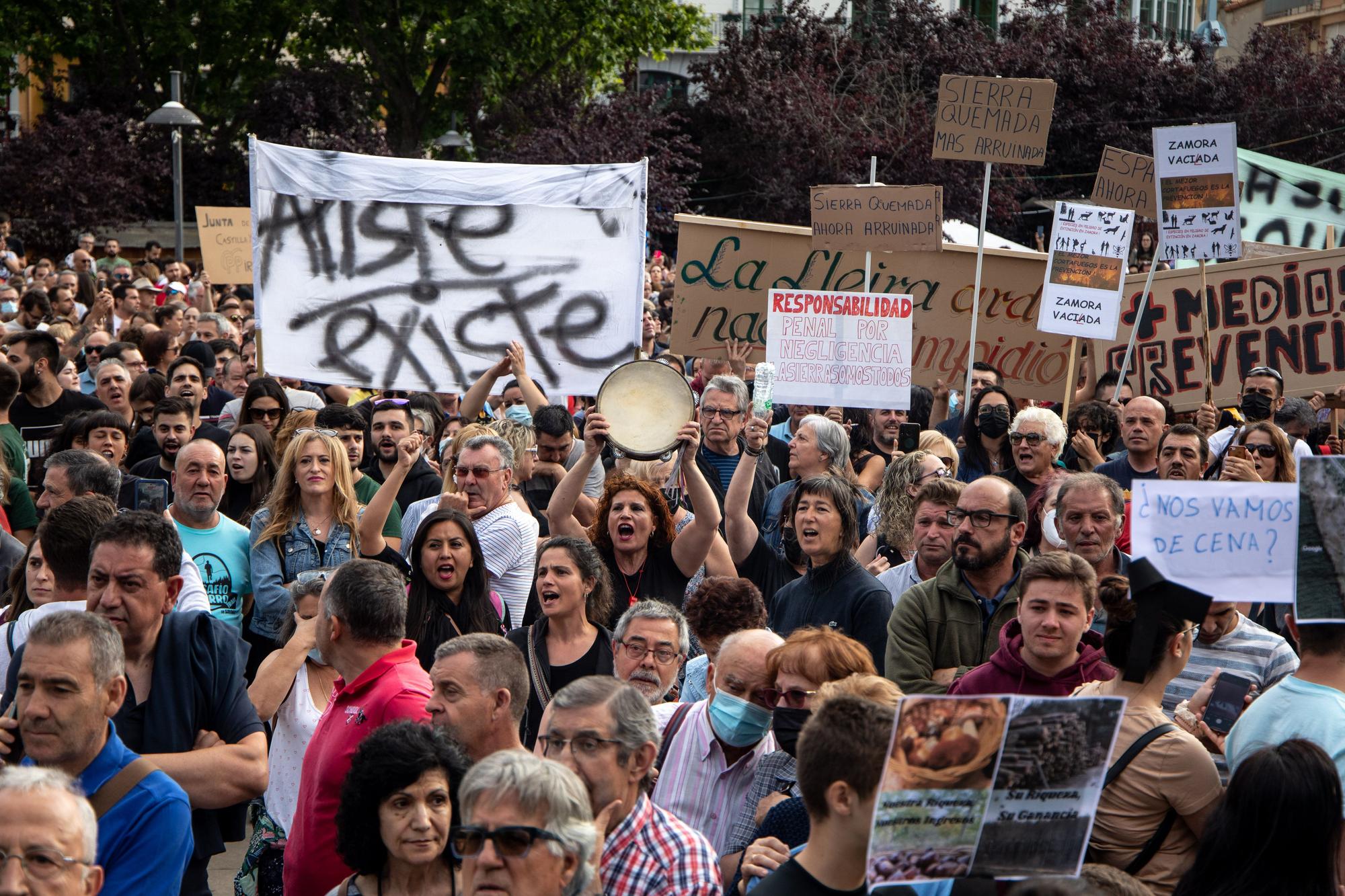 GALERÍA | La manifestación por el incendio de La Culebra (Zamora), en imágenes