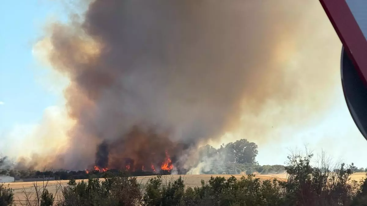Vídeo | Incendio de pastos en la carretera de Badajoz a Sevilla
