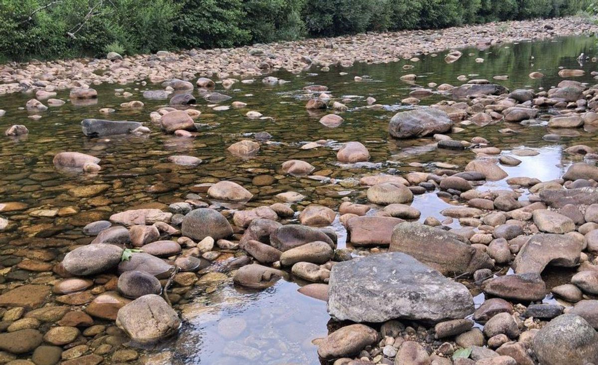 Los embalses, llenos al 88% y el río Nalón, casi vacío: "Es un pedregal"