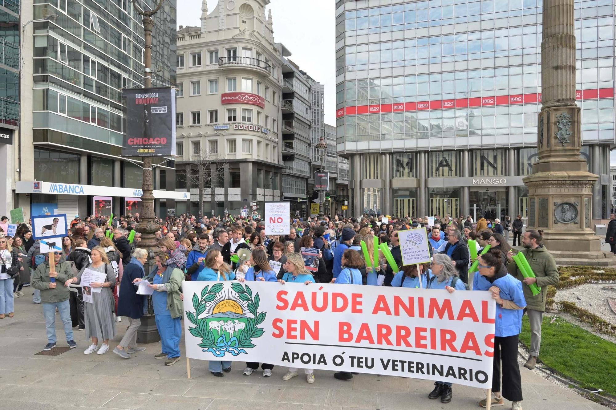 Protesta de veterinarios contra el nuevo decreto del Gobierno que regula el uso de medicamentos