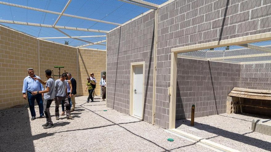 El voladero de Alicante donde las rapaces vuelven a aprender a ser libres