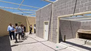 El voladero de Alicante donde las rapaces vuelven a aprender a ser libres