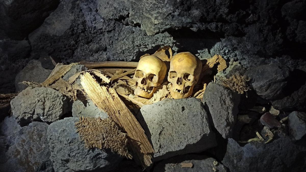 Restos de los dos antiguos canarios encontrados en una cueva del Barranco de Guayadeque.