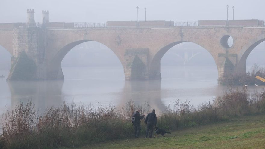 VÍDEO | Los perros Ela, Niyún y Arco buscan a la mujer desaparecida en Badajoz