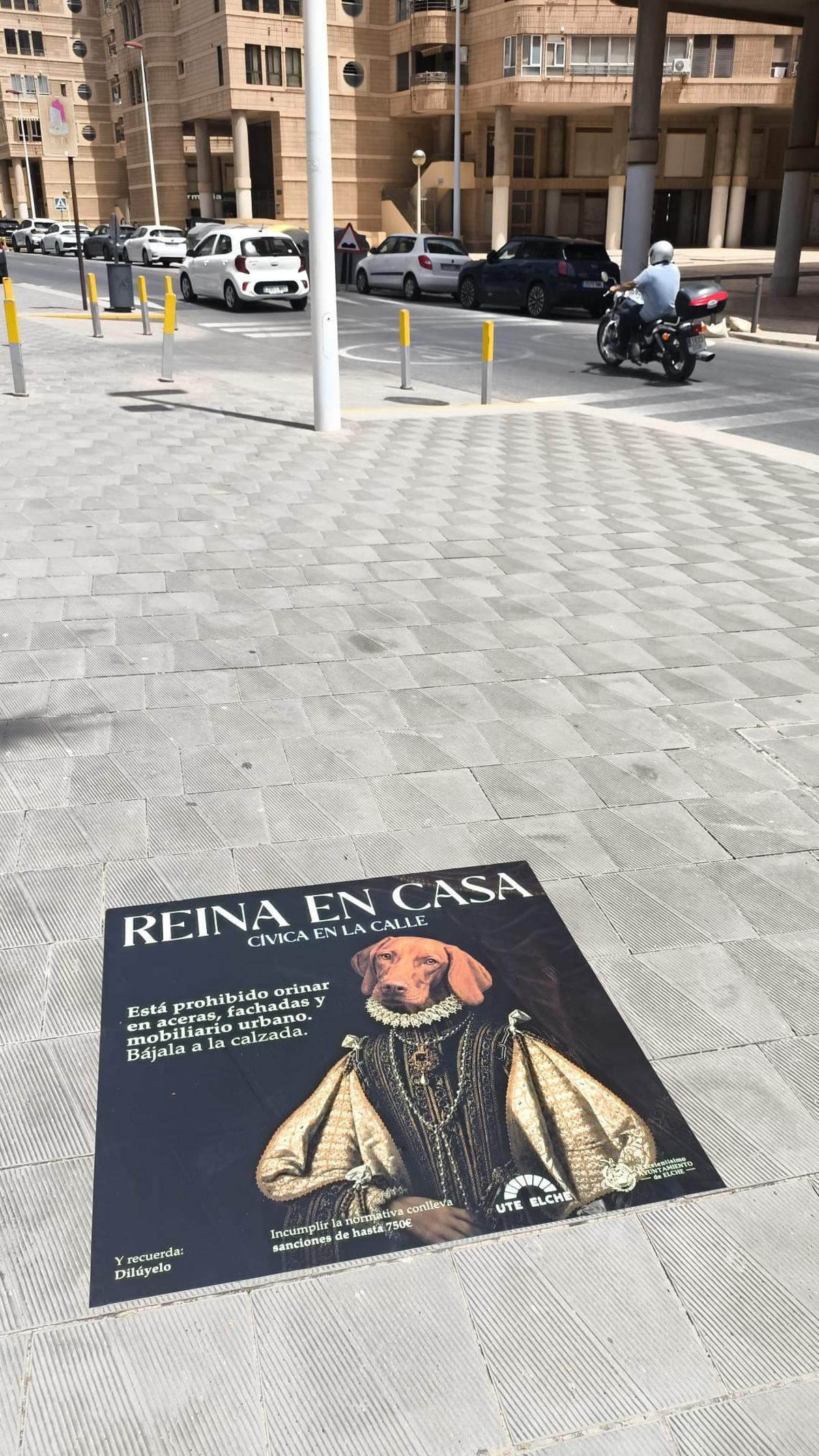 Carteles fijados en las aceras de Elche para concienciar contra los orines